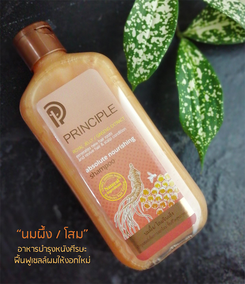 Principle Absolute Nourishing Shampoo