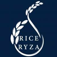 riceryza