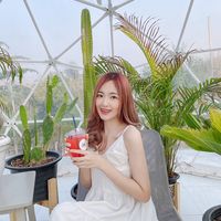 Palaloyploylinn's profile picture