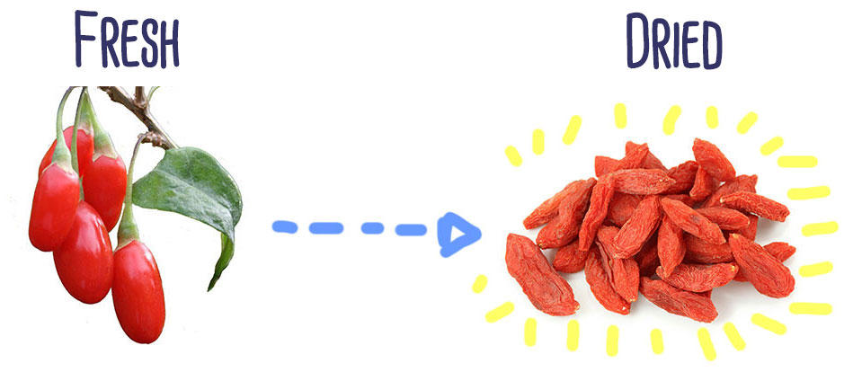 Benefits of Goji Berries