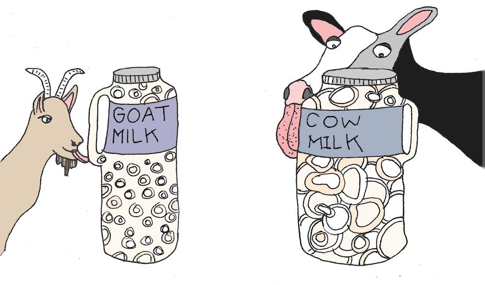 milk-fat.jpg