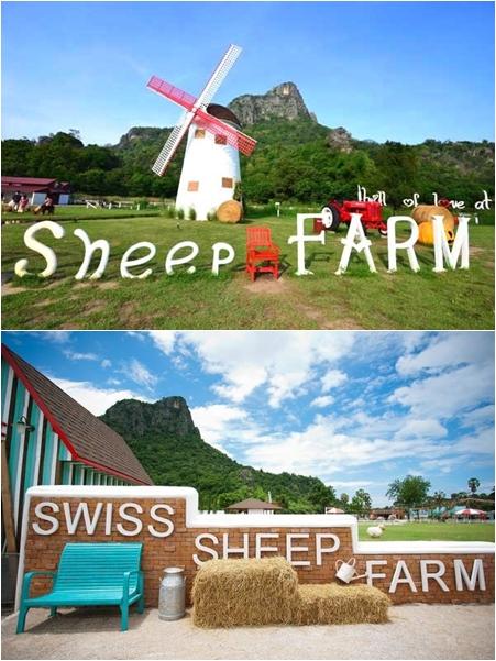 swiss sheep farm